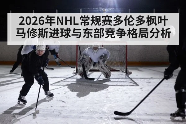 ice hockey game arena action